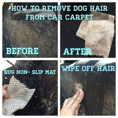 How to Remove Dog Hair From Car Upholstery: And a Peek Into the Odd World of Pet Hair-Inspired Art